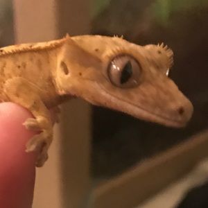 Meet your Posher, Jamie